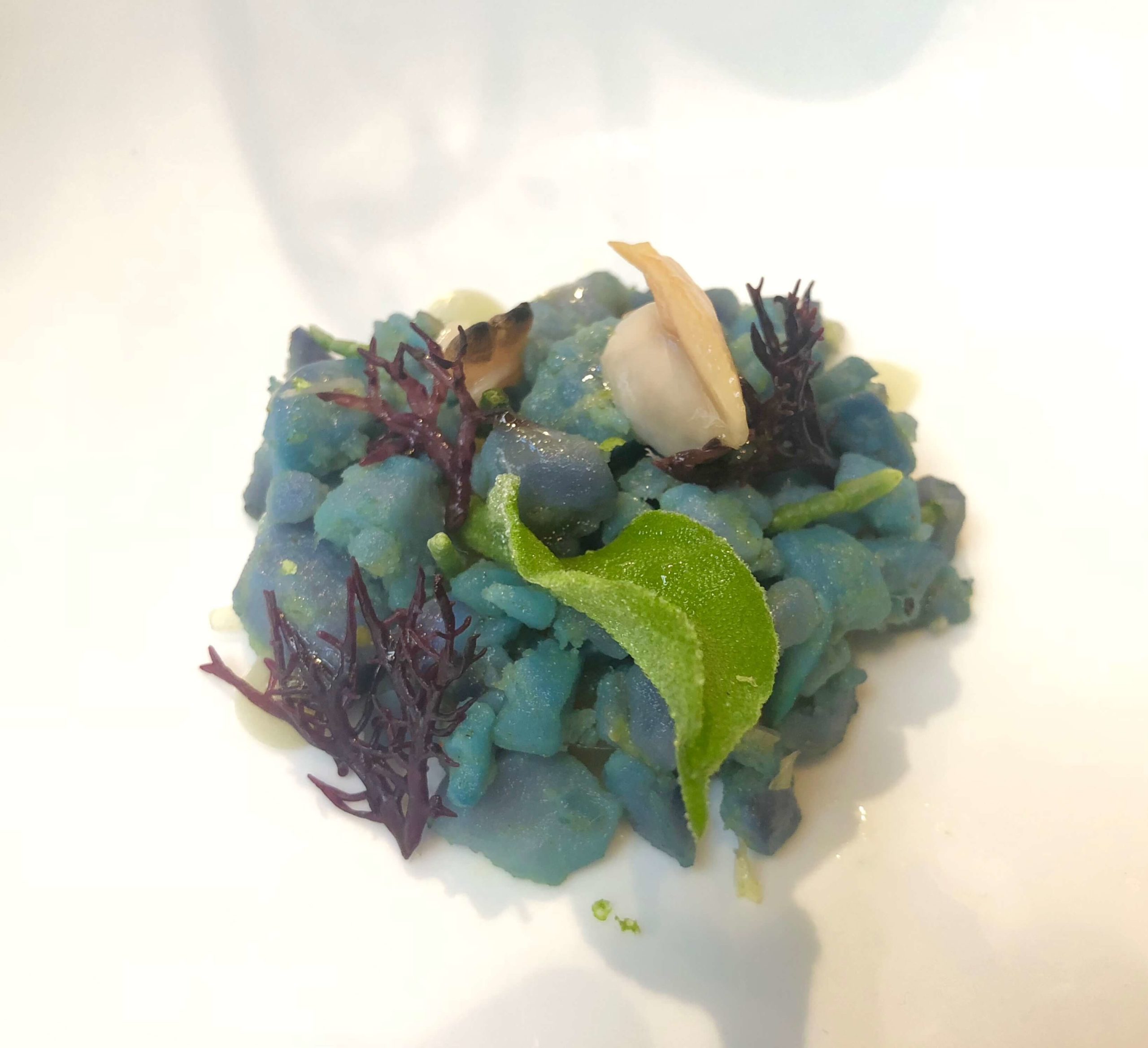 Fondo de Mar