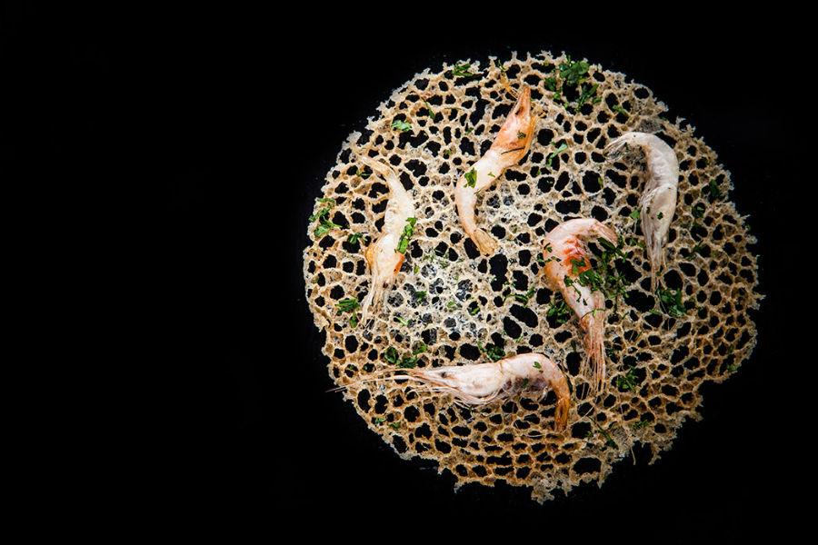 Tortilla de camarón